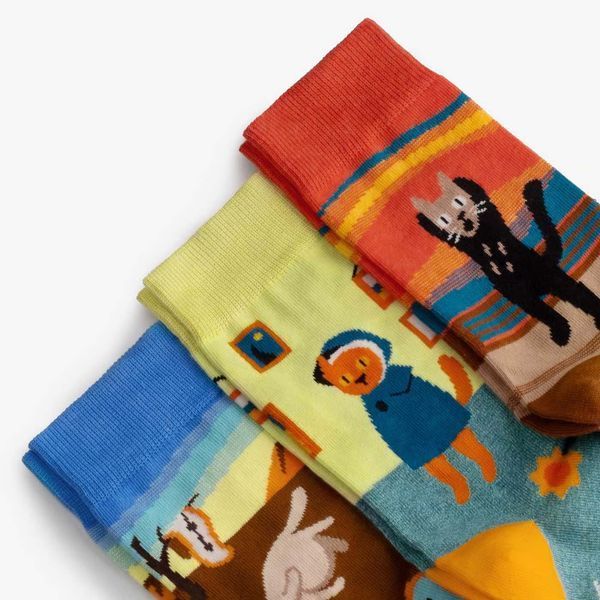 Шкарпетки Dodo Socks Набір Мурстецтво