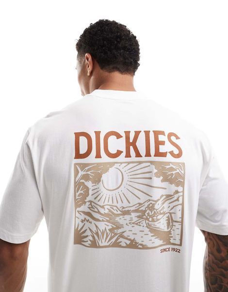 Футболка Dickies Patrick Springs T-shirt white