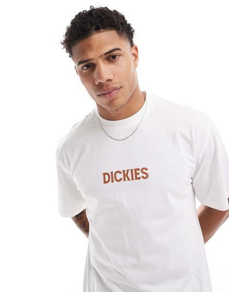 Футболка Dickies Patrick Springs T-shirt white