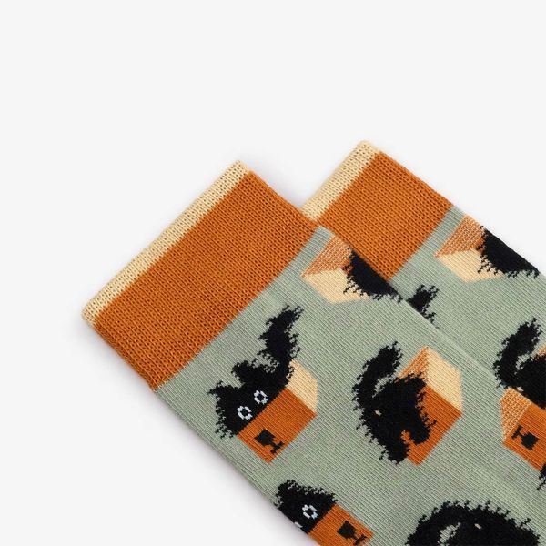 Шкарпетки Dodo Socks Пара Коробочки