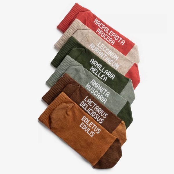 Шкарпетки Dodo Socks Короткий набір Гриби