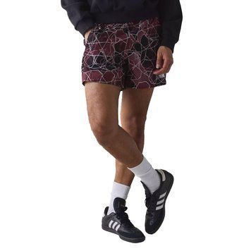 Шорти The North Face Class V Pathfinder Belted Short Sumac Oval Intention