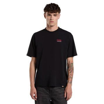 Футболка Dickies Flag light weight t-shirt Black