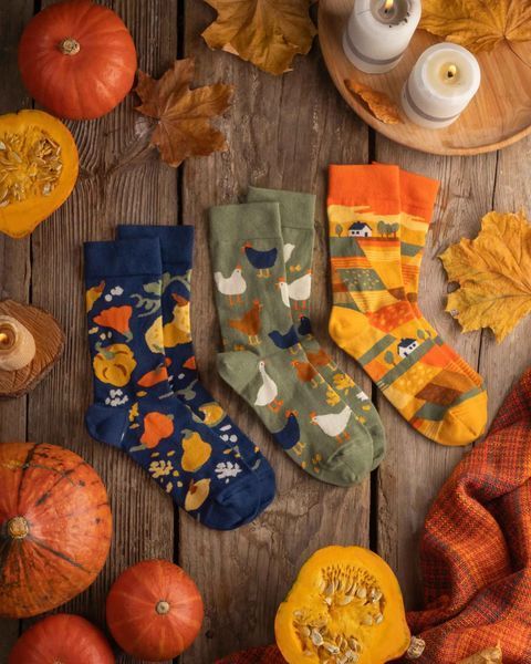 Шкарпетки Dodo Socks Набір Врожай