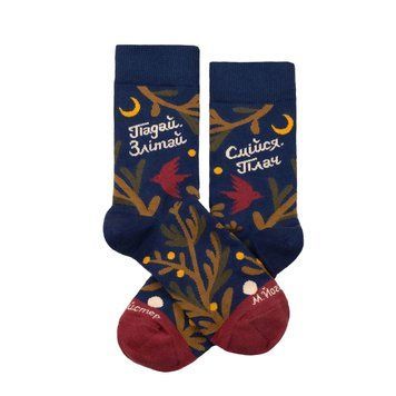 Шкарпетки Dodo Socks Пара Чудермайстер