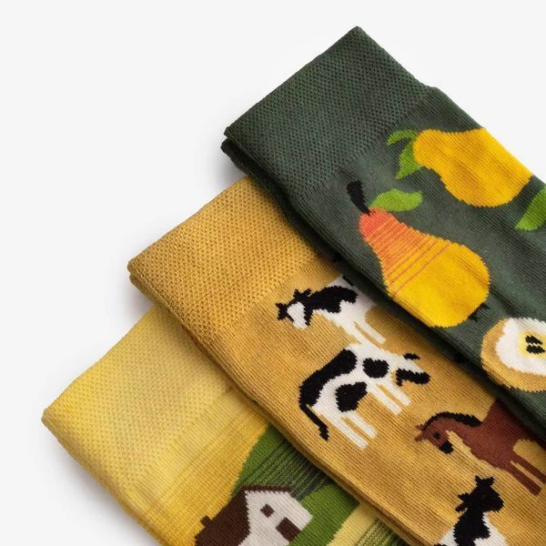 Шкарпетки Dodo Socks Набір Хутір