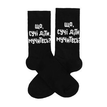 Шкарпетки Dodo Socks Пара &ldquo;Що, мучитесь?&rdquo;