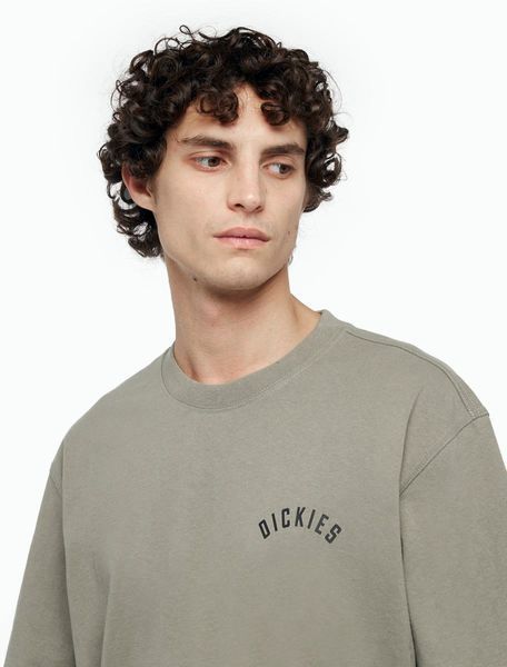 Футболка Dickies Panther T-shirt khaki