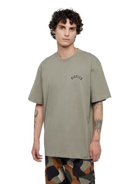 Футболка Dickies Panther T-shirt khaki