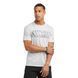 Футболка Champion T-shirt wavy chest logo gray