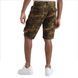 Шорти Decibel Cargo Shorts Camo