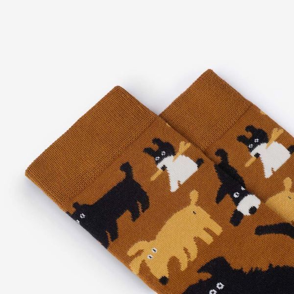 Шкарпетки Dodo Socks Пара Песи