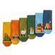 Шкарпетки Dodo Socks Короткий набір Мандри