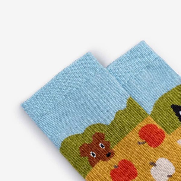 Шкарпетки Dodo Socks Короткий Набір Канікули
