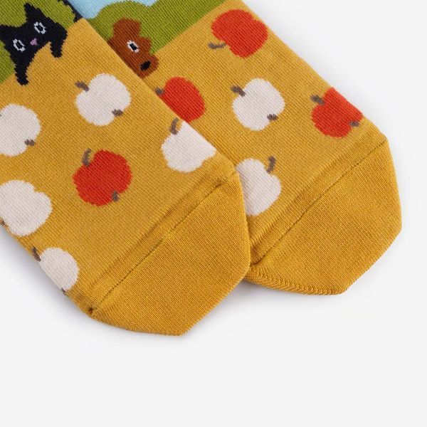 Шкарпетки Dodo Socks Короткий Набір Канікули