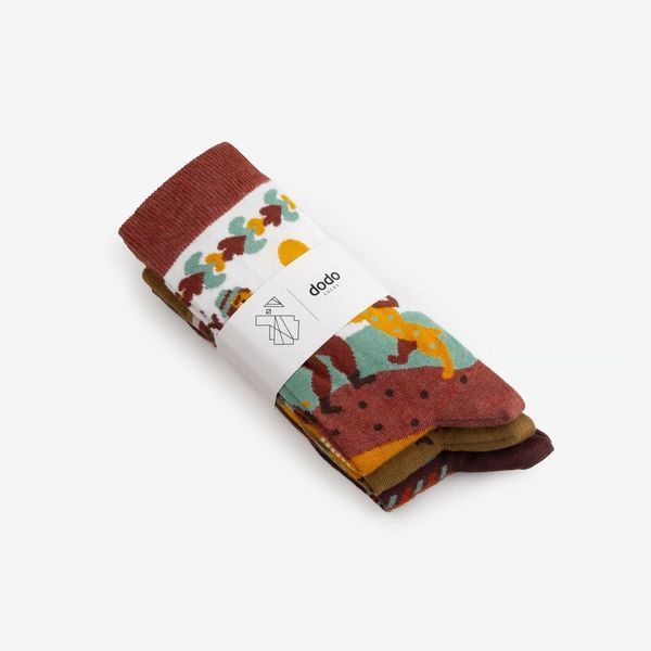 Шкарпетки Dodo Socks Набір Кераміка